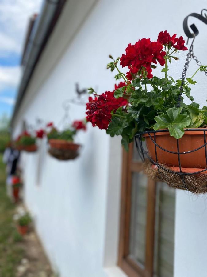 Casa Canda Salasu de Sus Luaran gambar